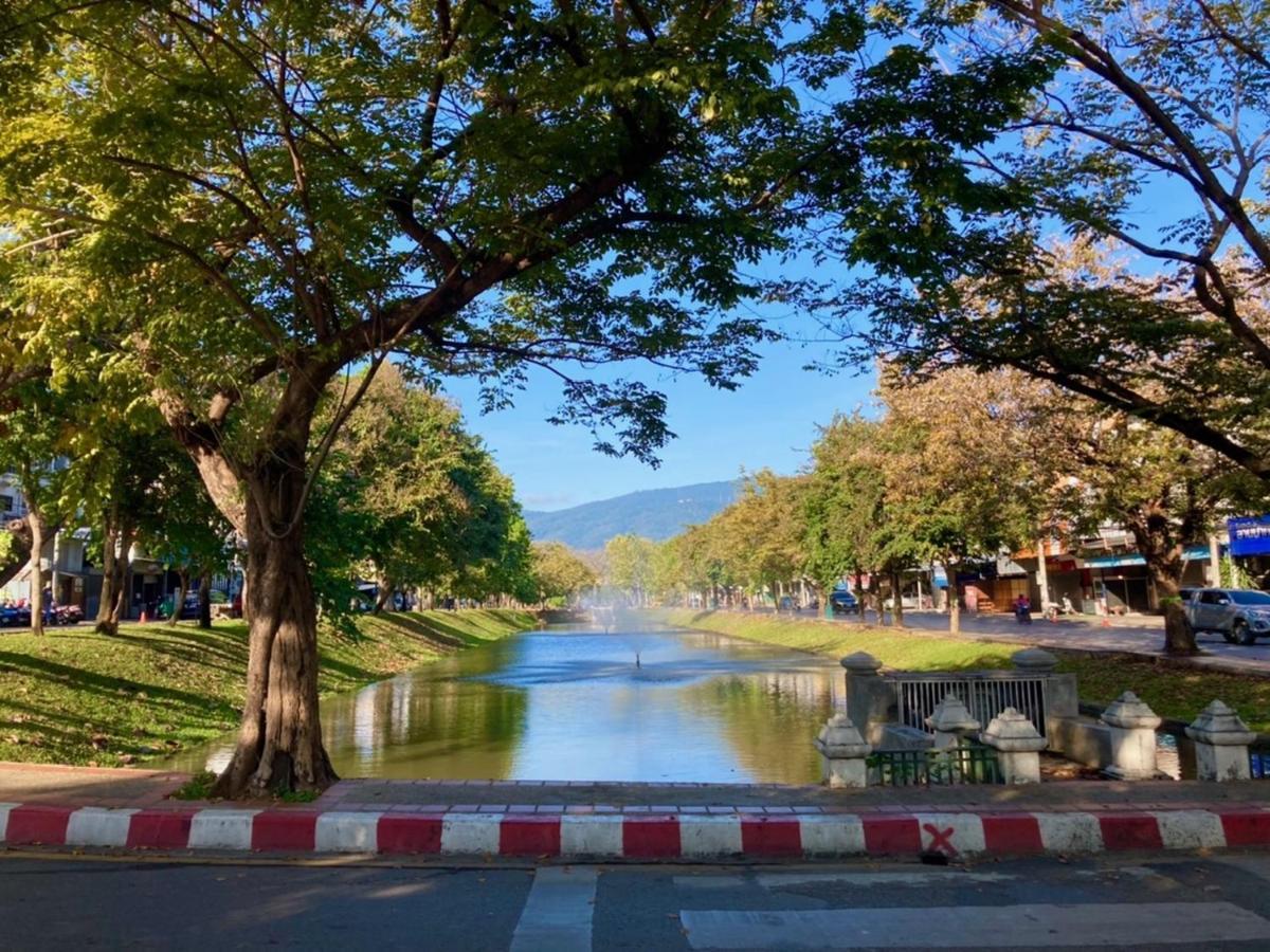 Triple Palms House Hotell Chiang Mai Exteriör bild