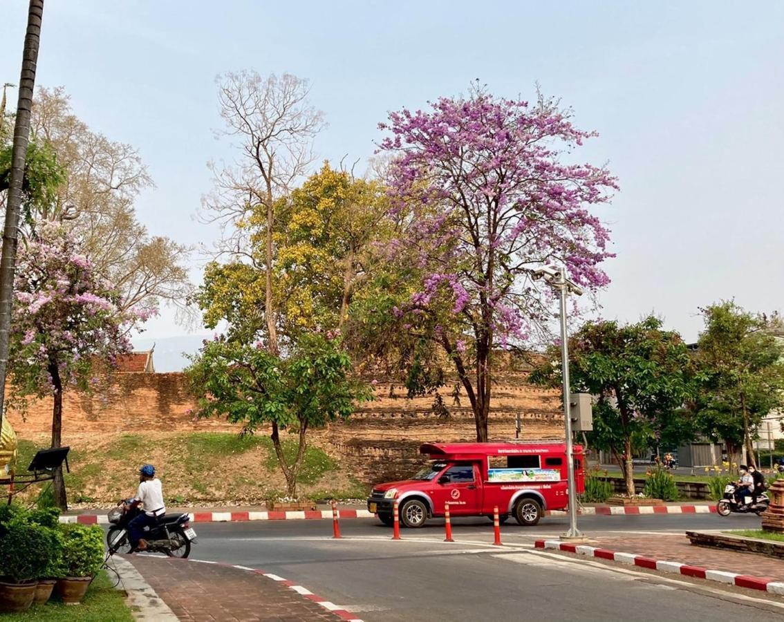 Triple Palms House Hotell Chiang Mai Exteriör bild